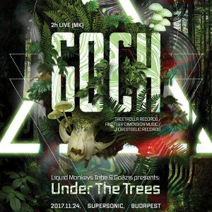 2017-11-24 | Under The Trees w/ Goch (MK)